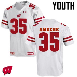 Youth Wisconsin Badgers #35 Alan Ameche White Embroidery Jerseys 889526-300