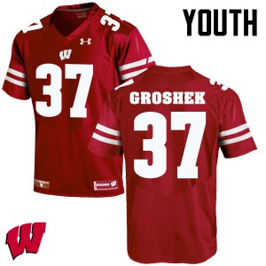 Youth Wisconsin Badgers #37 Garrett Groshek Red Football Jersey 555345-980